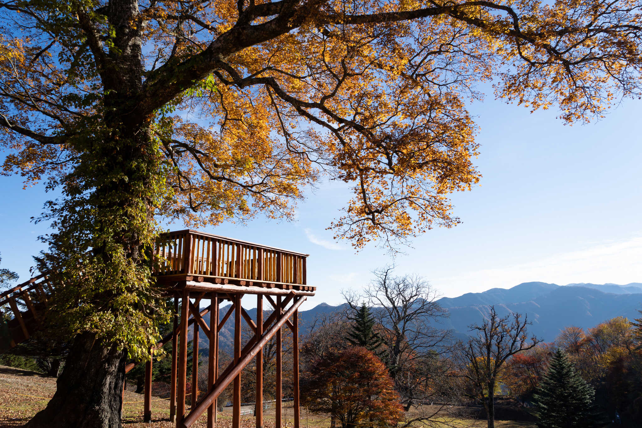 WASAMATA HUTTE(旧:和佐又山ヒュッテ・キャンプ場)の写真 5枚目