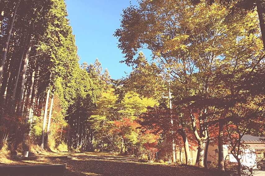 洞川キャンプ場(旧:フォレスト・イン 洞川キャンプ場)