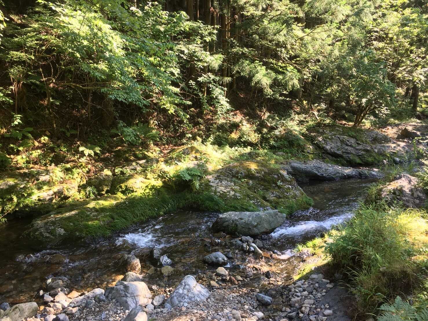 夏には冷たい川で遊べます!ひんやり気持ちいい☆