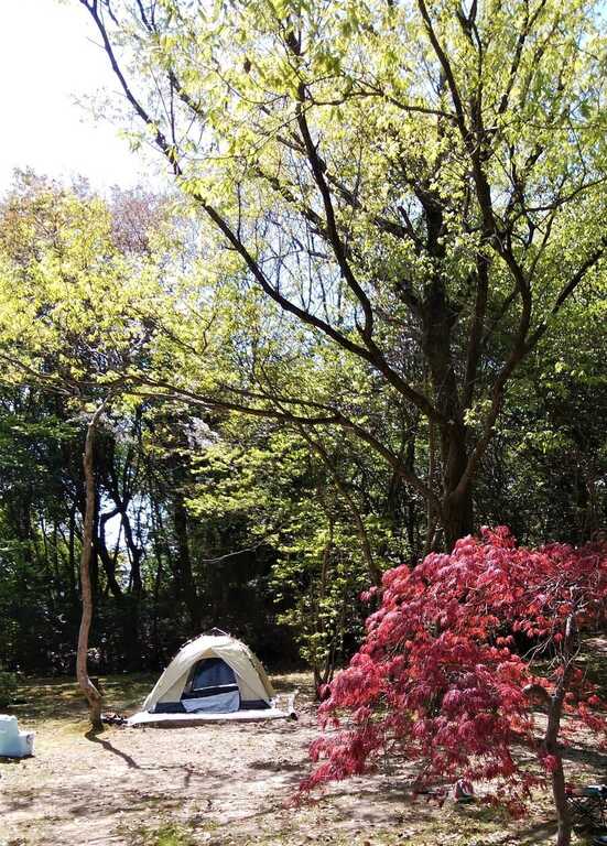 奈良市黒髪山キャンプフィールド photo 3