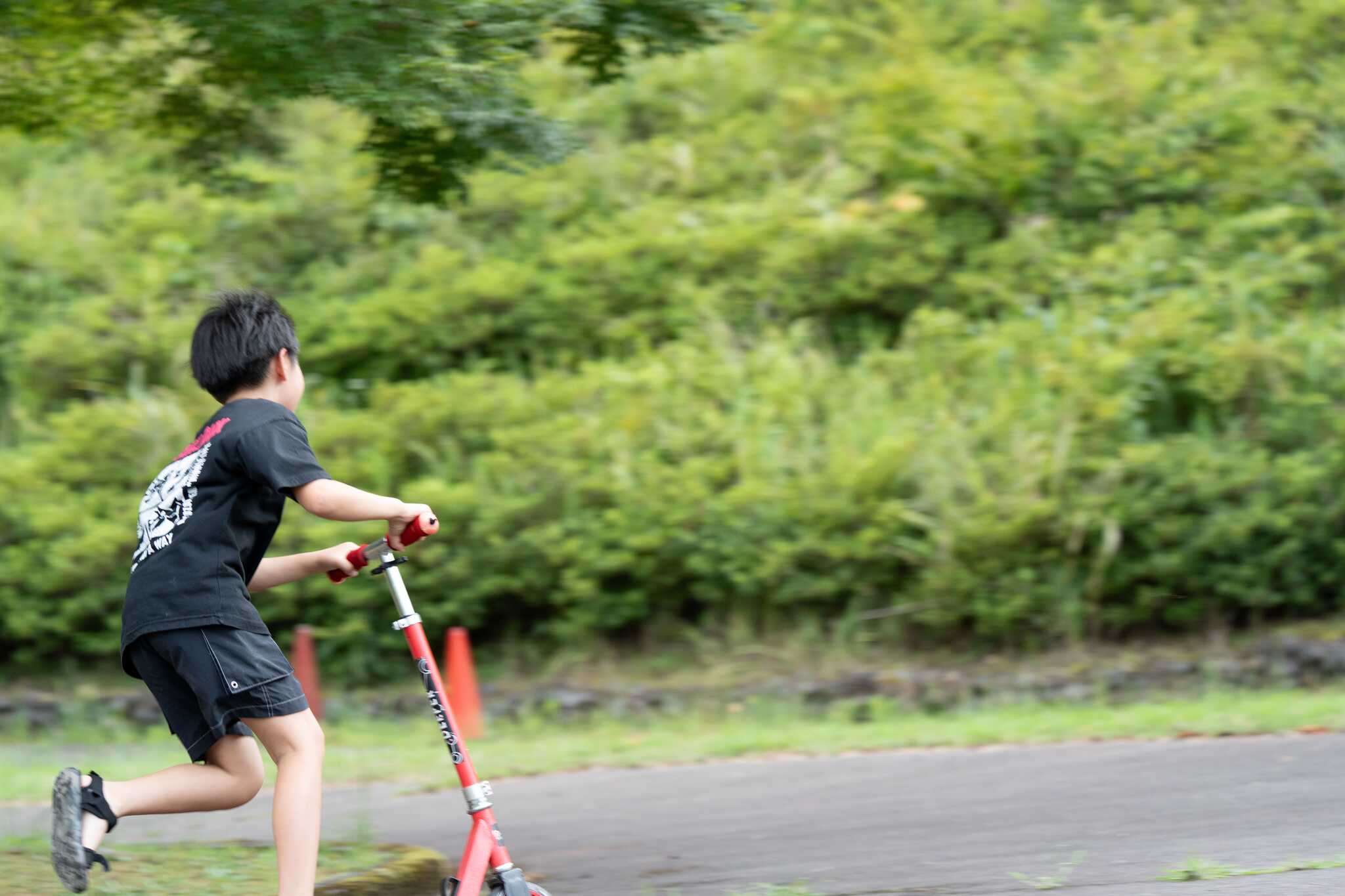 みどりと自然の村太陽広場の写真 4枚目