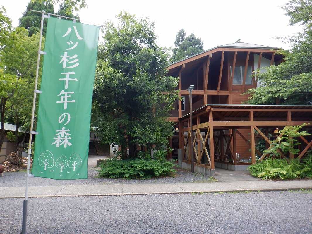 八ッ杉千年の森キャンプ場