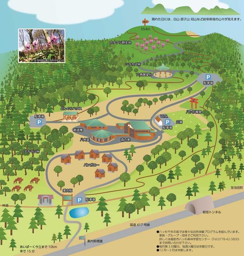 八ッ杉千年の森キャンプ場