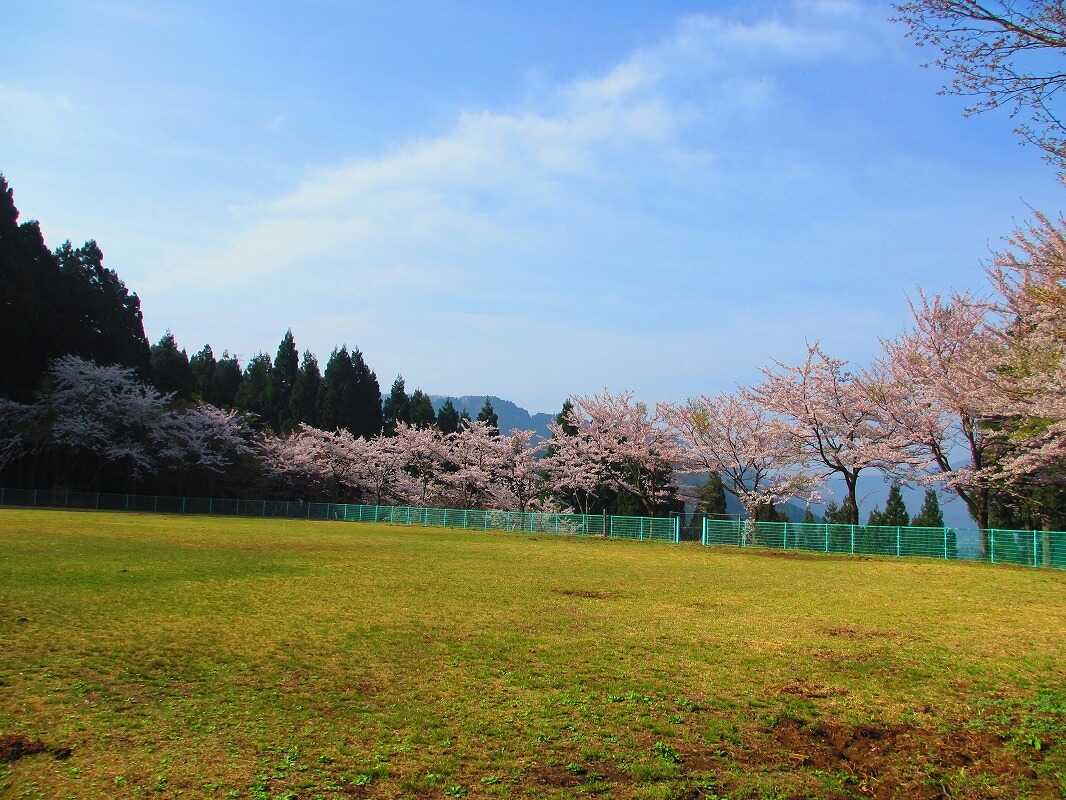 八ッ杉千年の森キャンプ場