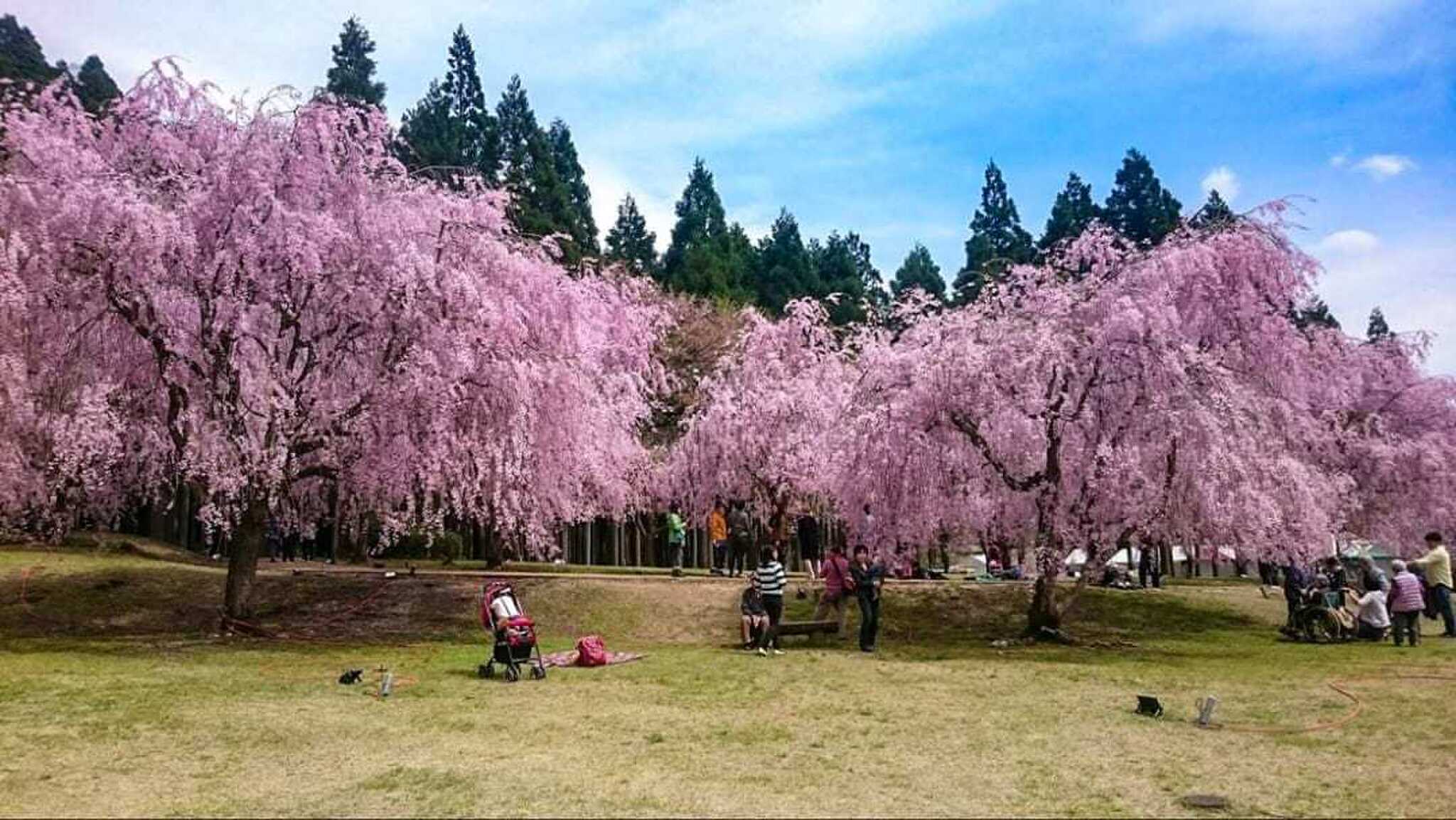 たけくらべ広場