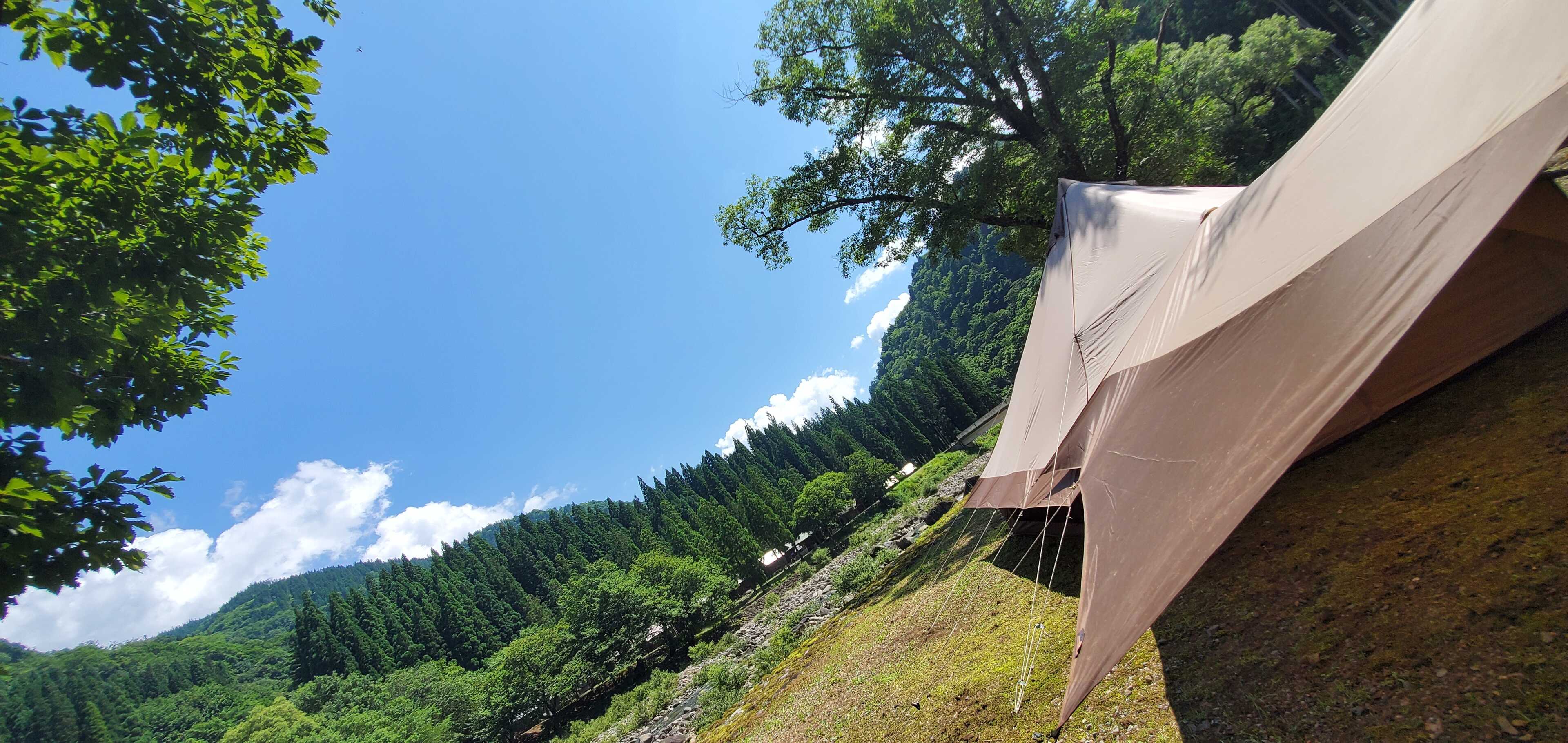 和泉前坂家族旅行村 前坂キャンプ場の写真 2枚目