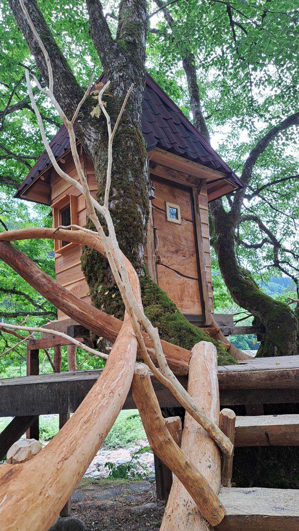 和泉前坂家族旅行村 前坂キャンプ場の写真 4枚目