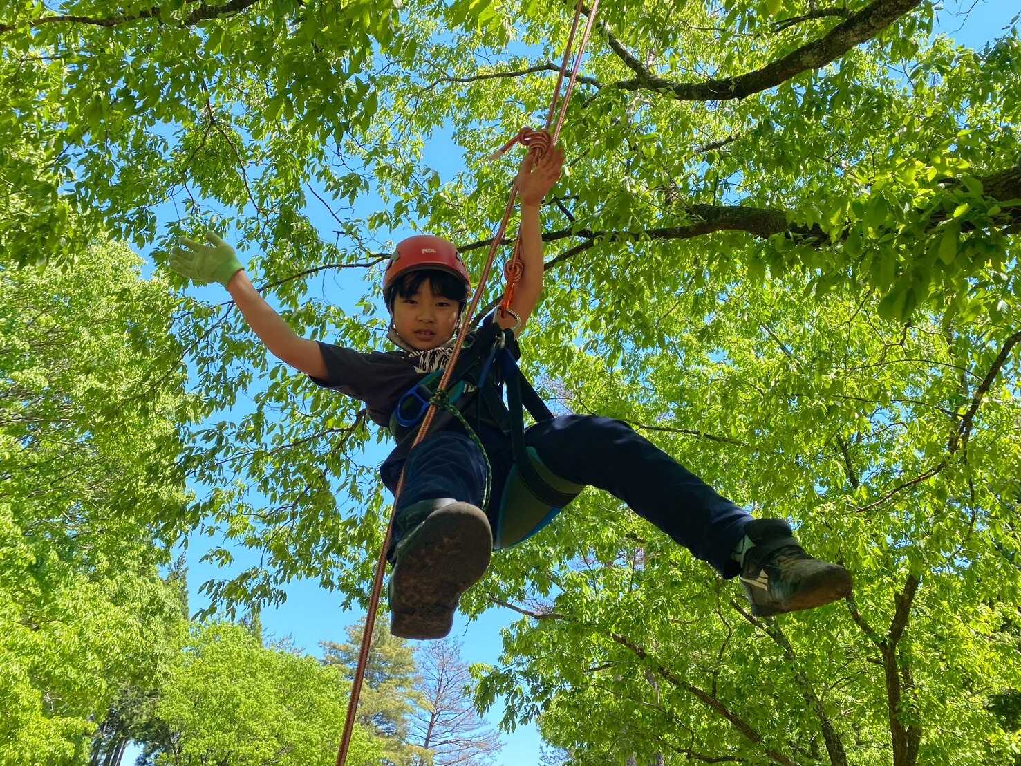 森のほうかごVILLAGEの写真 2枚目