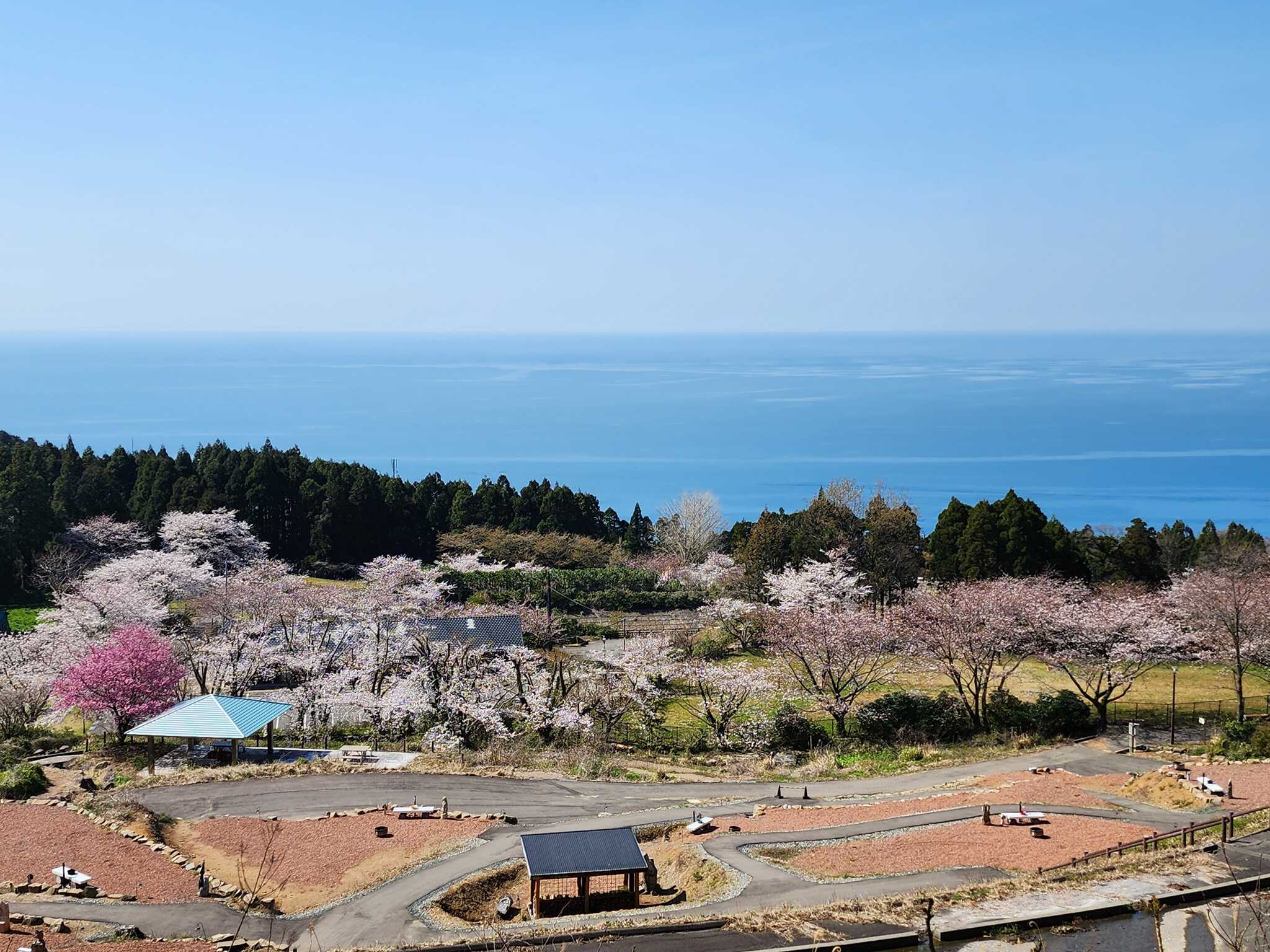 ガラガラ山キャンプ場 SPA&CAMPの写真 4枚目