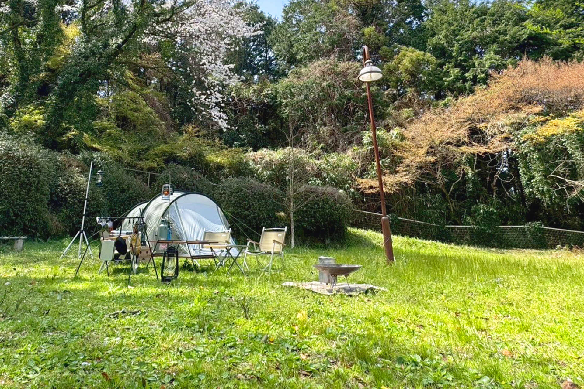 吉井百年公園 マルッテラ