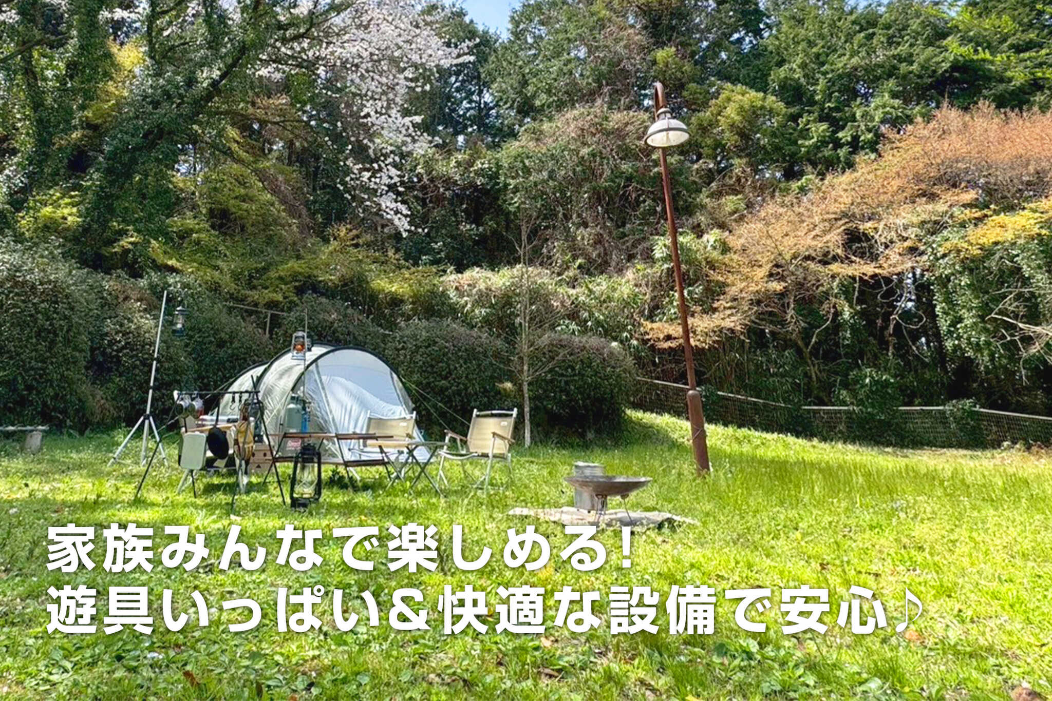 吉井百年公園 マルッテラの写真 1枚目