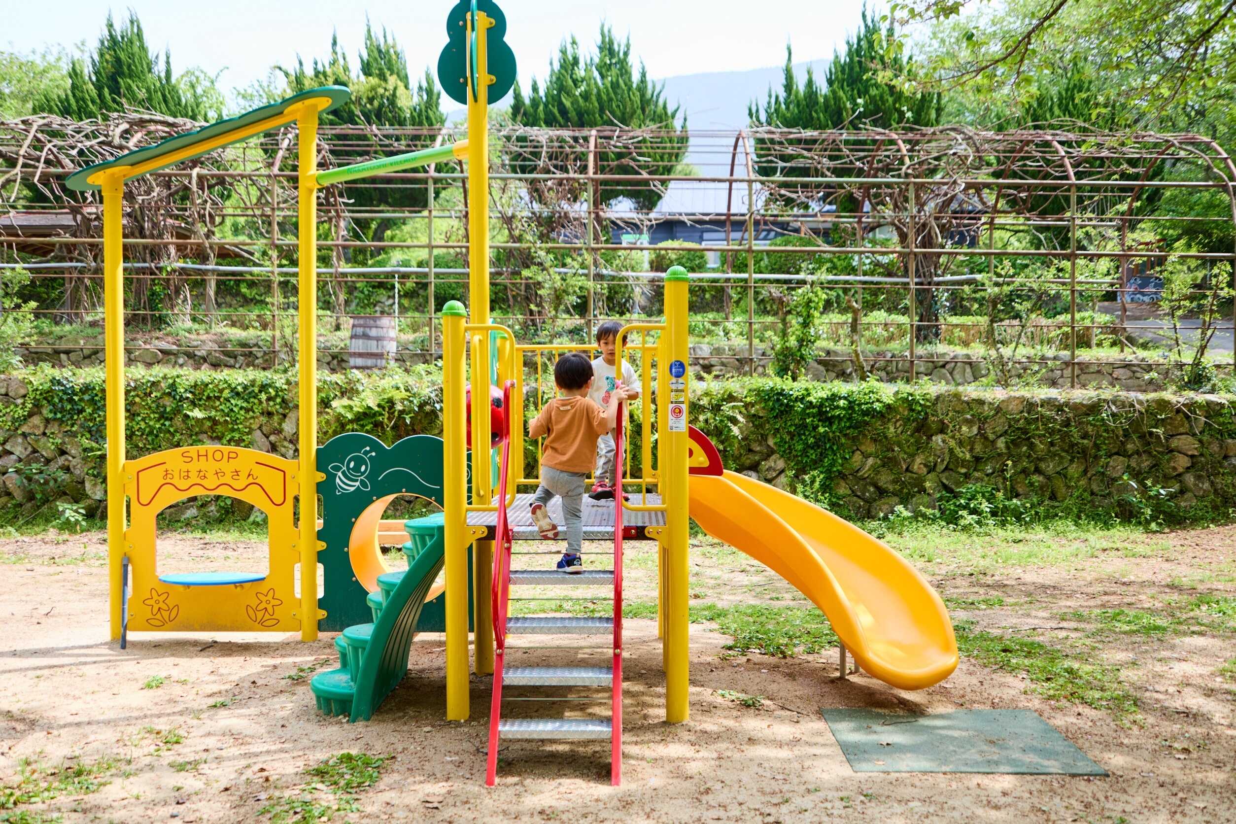 吉井百年公園 マルッテラの写真 4枚目