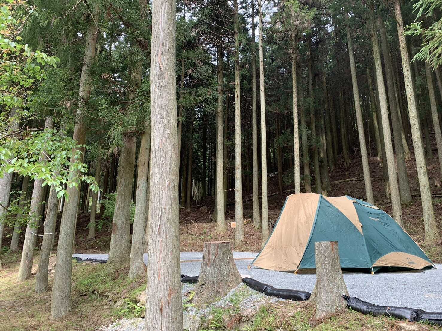 古処山キャンプ村遊人の杜の写真 3枚目