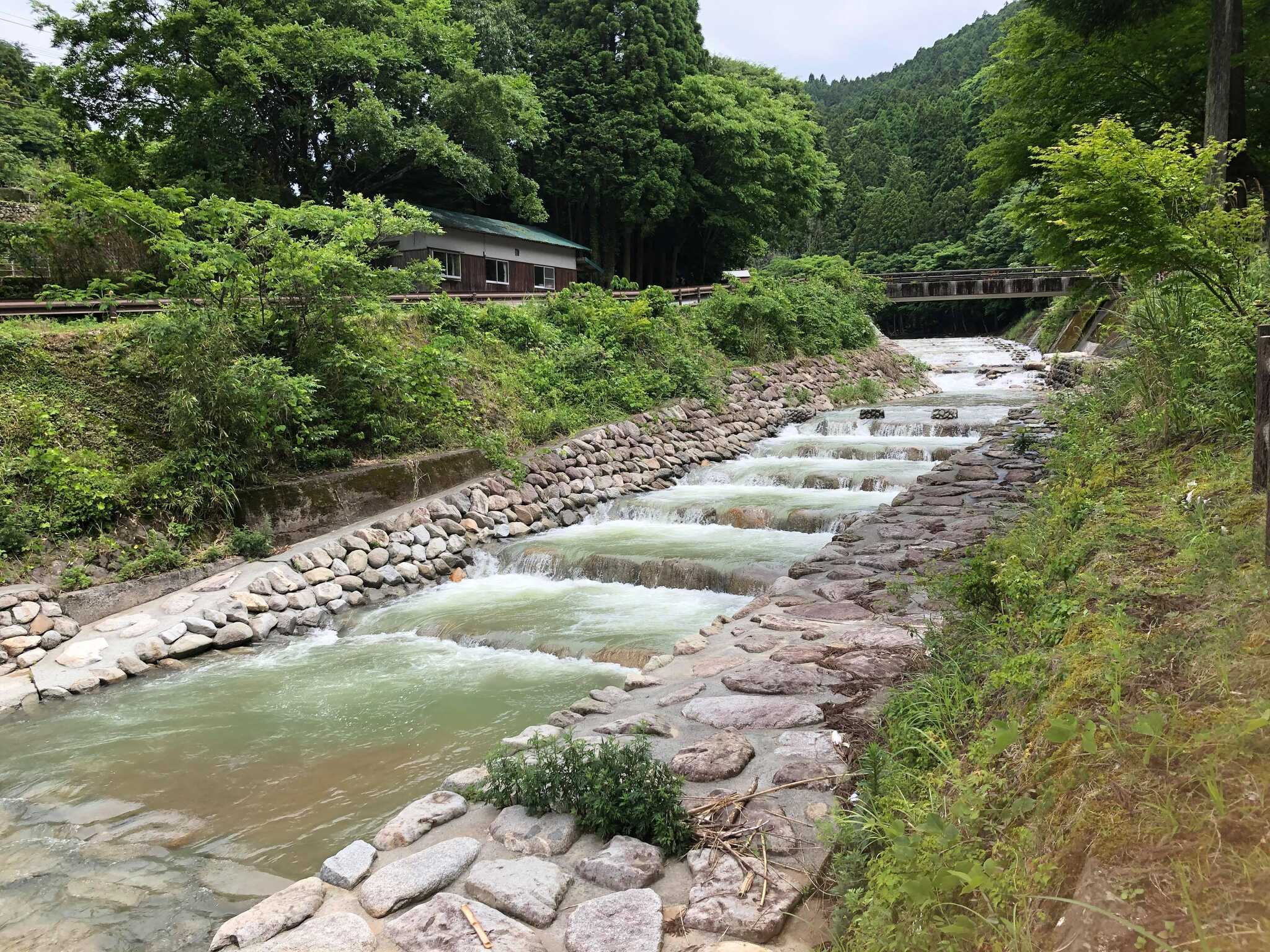 キャンプ場の前にある川での水遊び最高です。