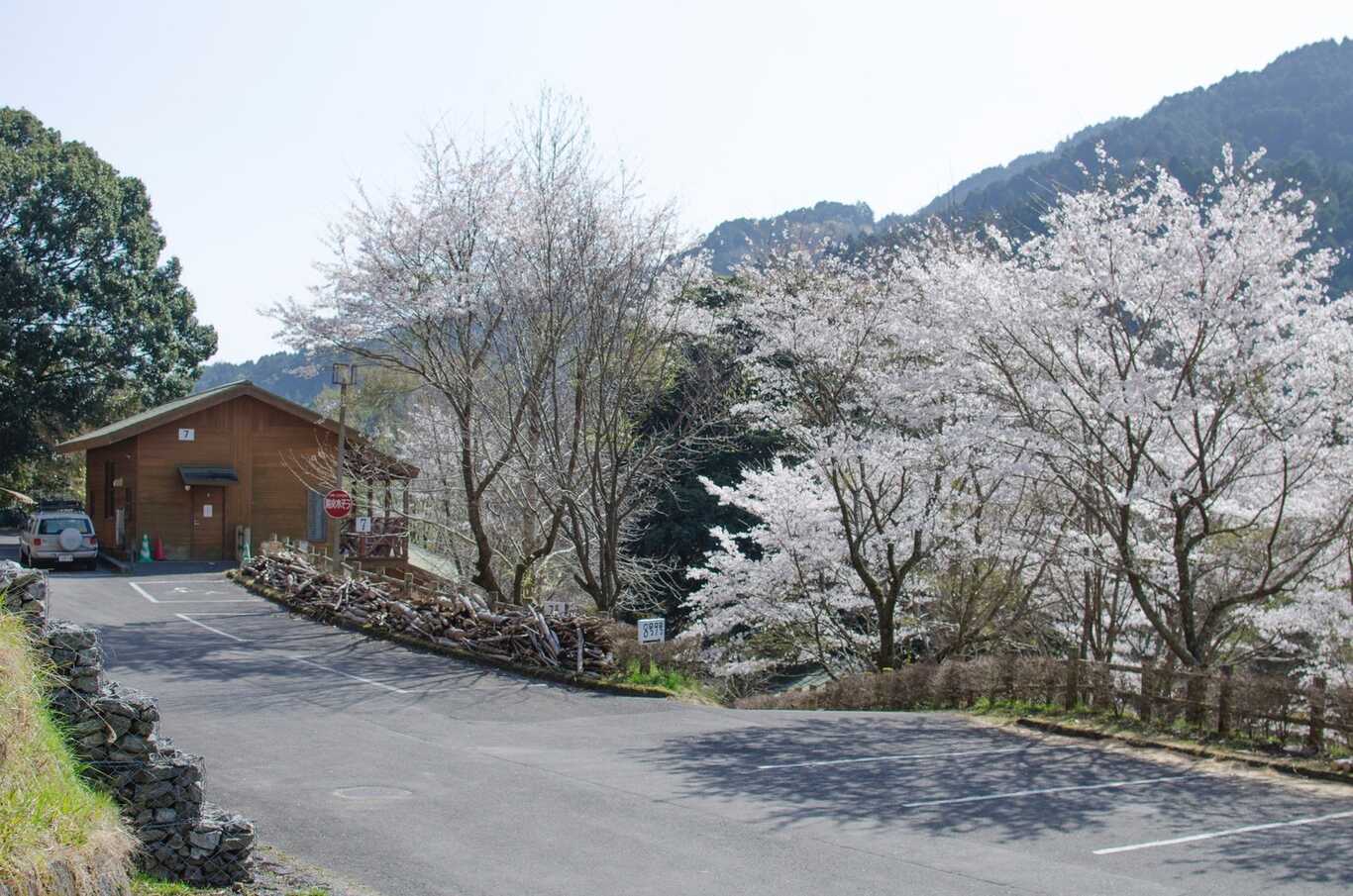 ポーン太の森キャンプ場 photo 3