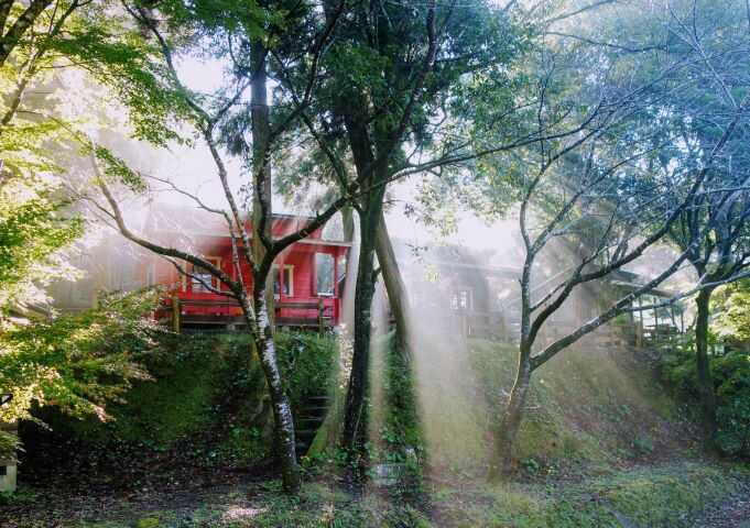 岩屋公園キャンプ場の写真 2枚目