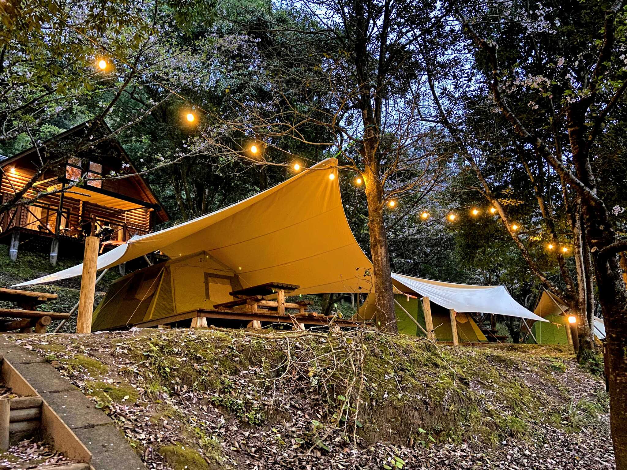 岩屋公園キャンプ場の写真 1枚目