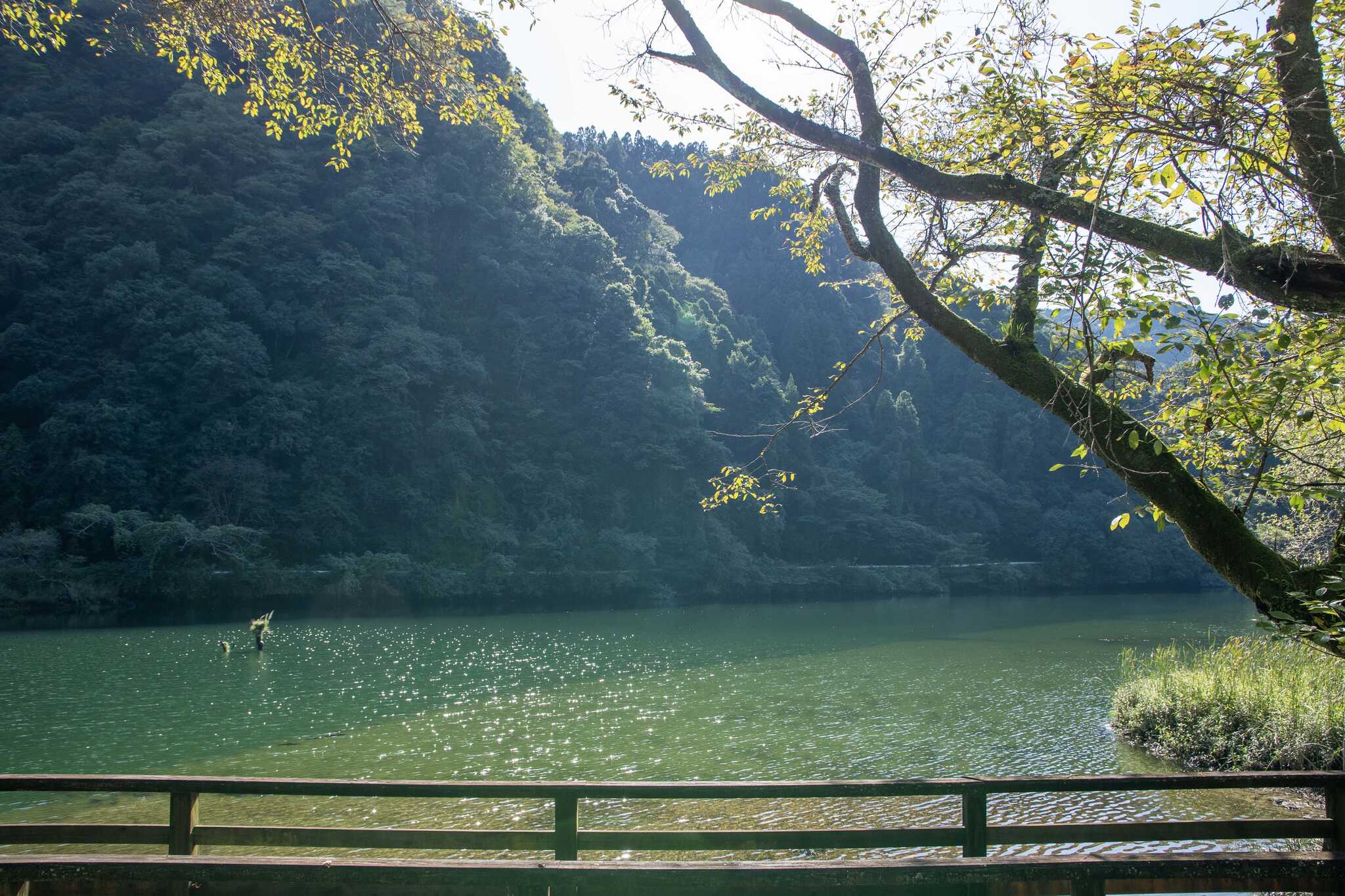 グリーンパル日向神峡の写真 4枚目