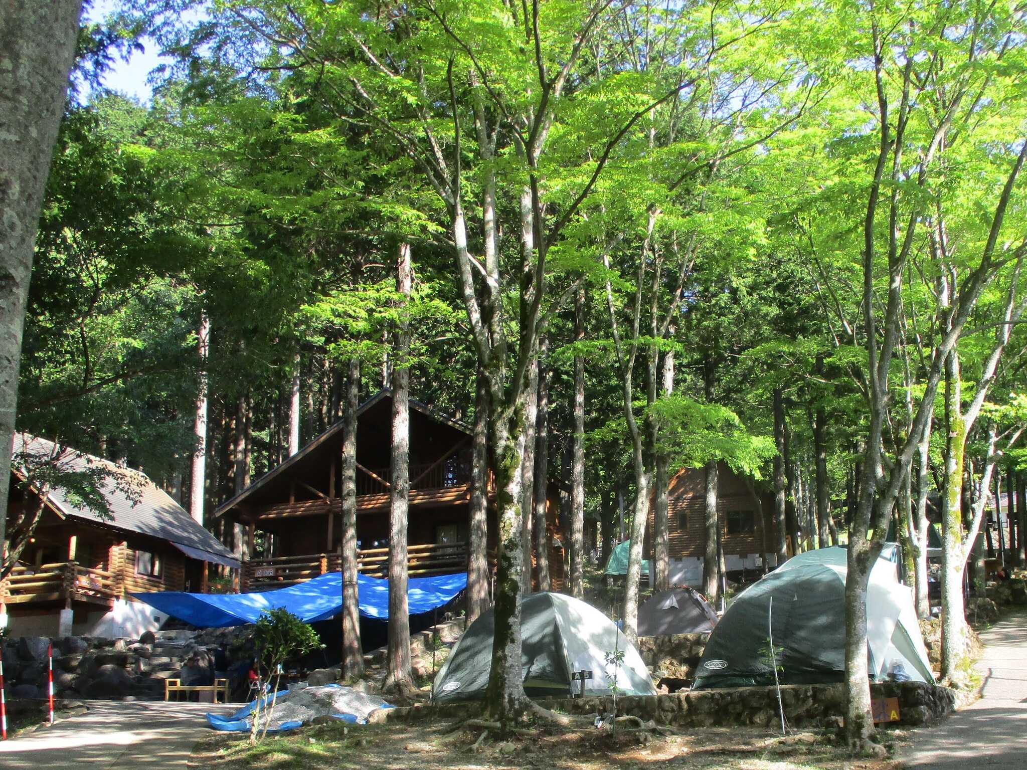 四季の山荘「求菩提」 求菩提キャンプ場の写真 1枚目