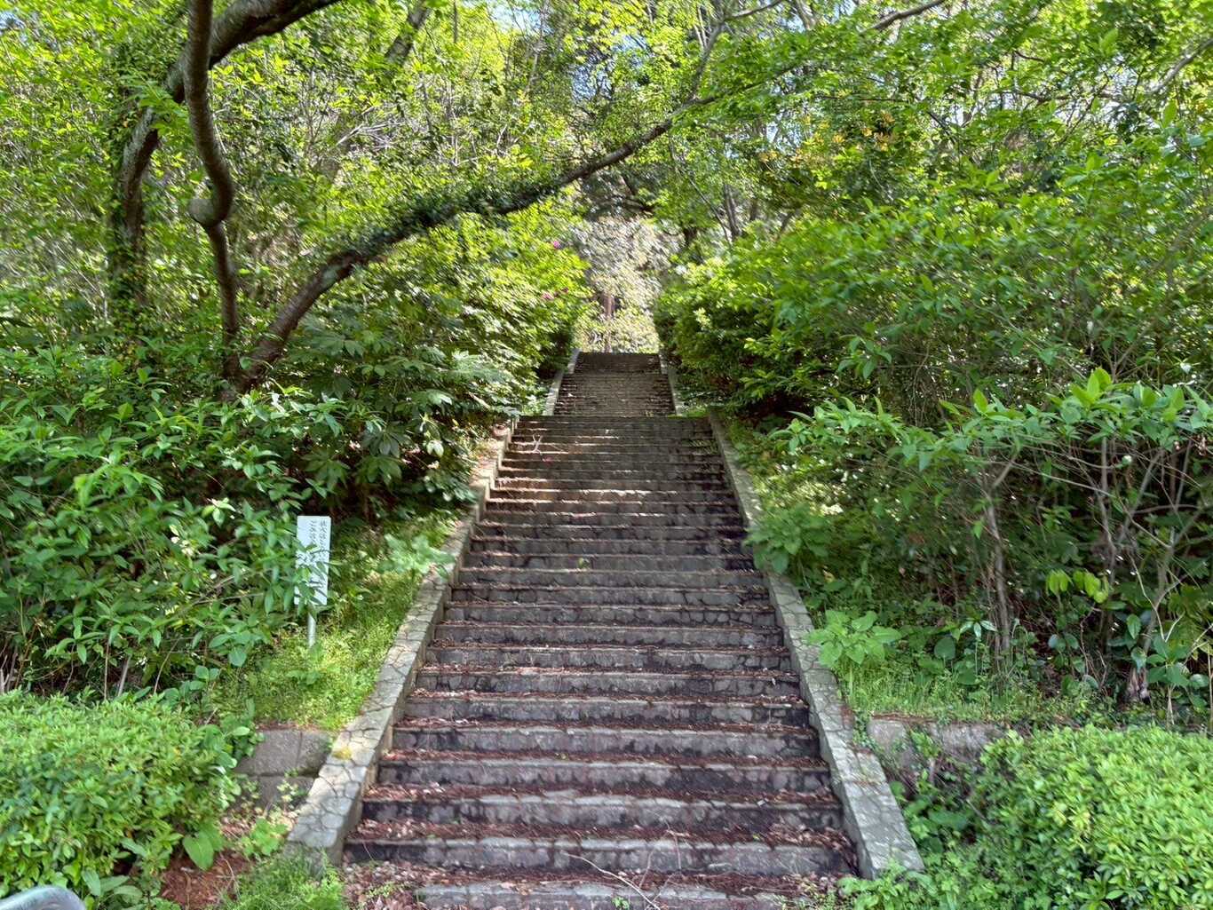 菖蒲谷キャンプ場 photo 4