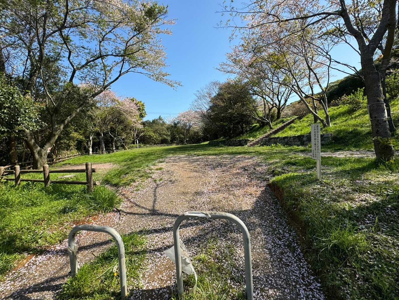 菖蒲谷キャンプ場 photo 2