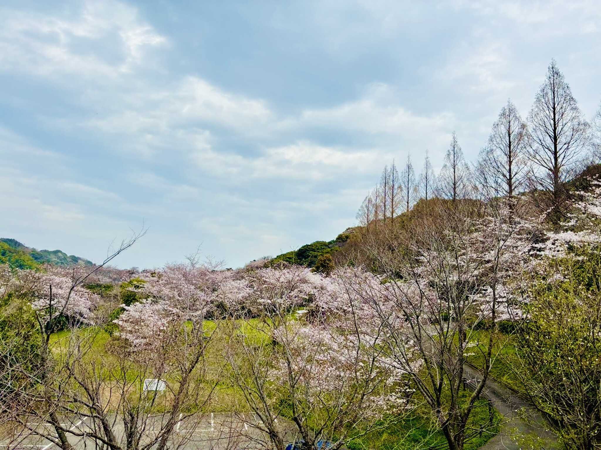 しょうぶ谷キャンプ場(旧:菖蒲谷キャンプ場)の写真 1枚目