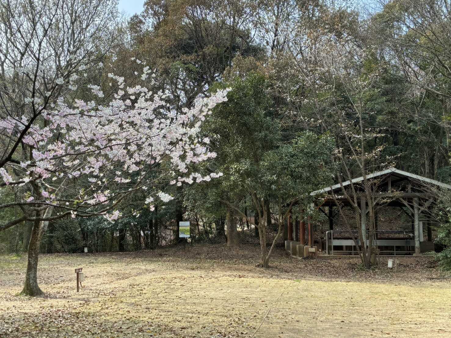 堀越キャンプ場