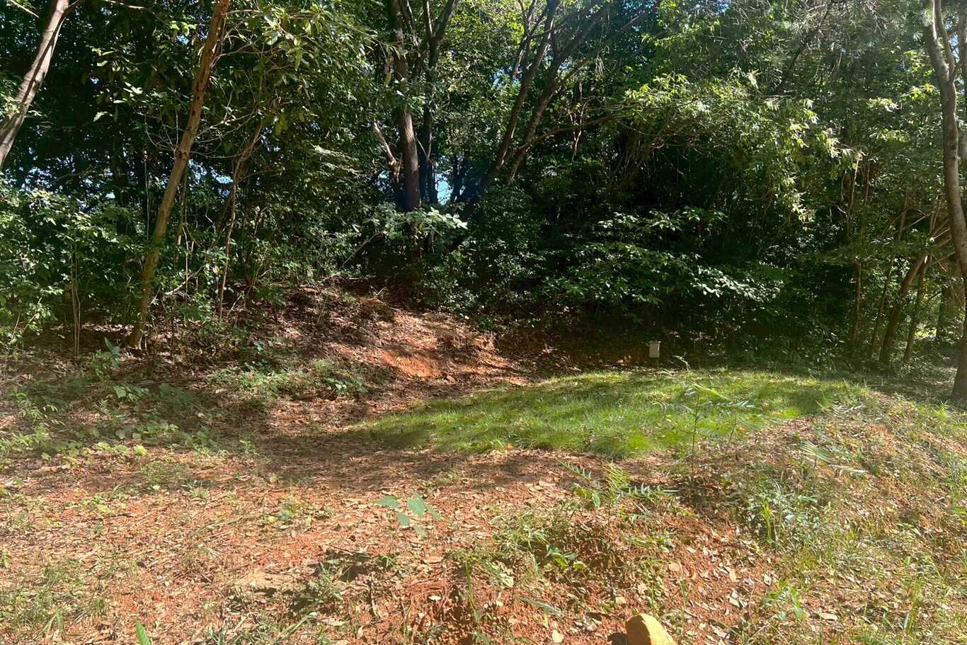 堀越キャンプ場 photo 2