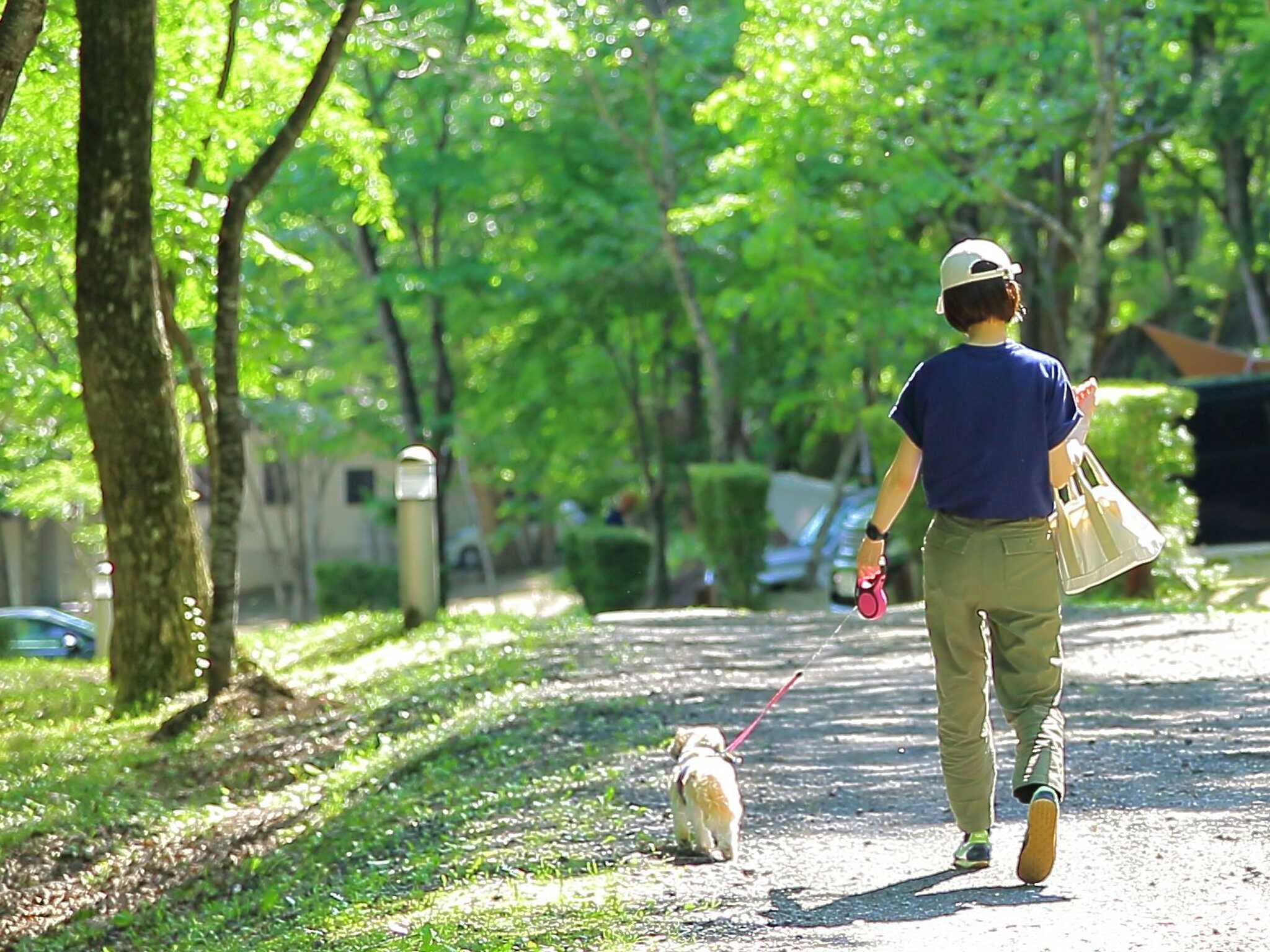 羽鳥湖畔オートキャンプ場