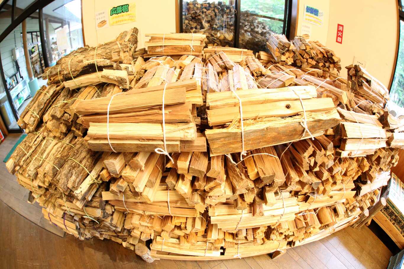 羽鳥湖畔オートキャンプ場 photo 5