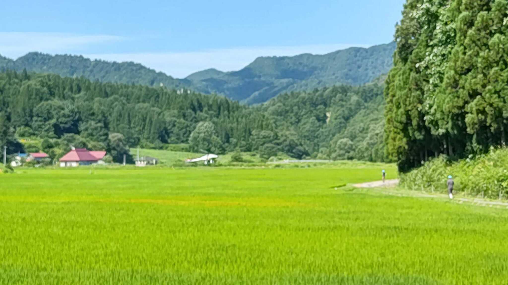 キャンプ場を起点に大芦地区を散歩してみませんか?