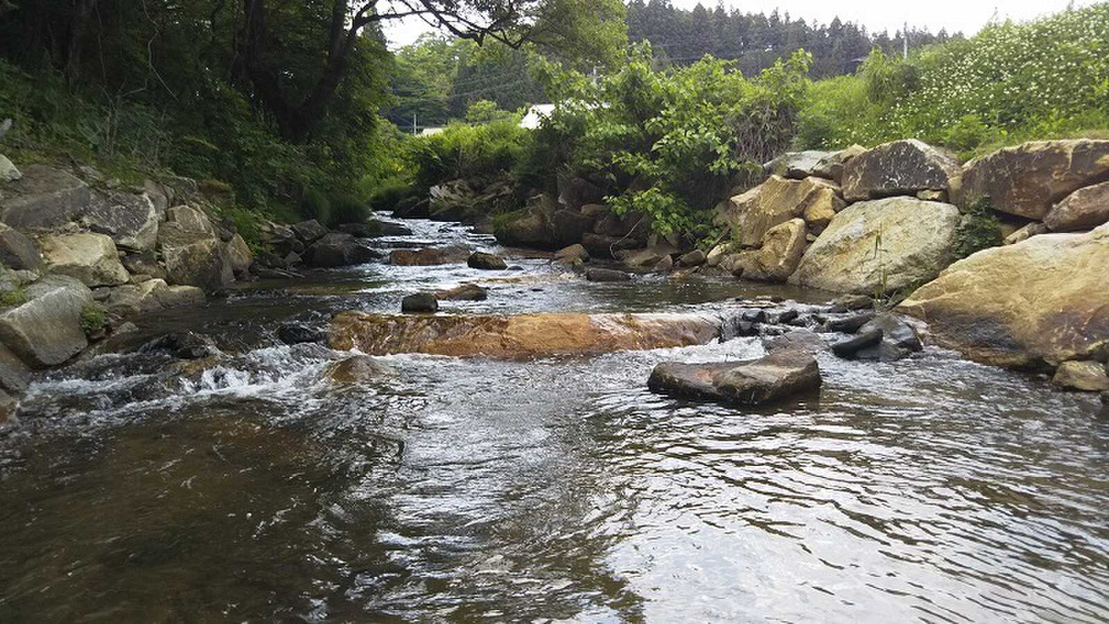 キャンプ場から300Mくらいの所に水の公園があります☆水遊びにもってこい♪(※必ず保護者の方が付き添いください)