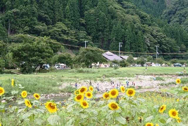南光自然観察村 photo 3