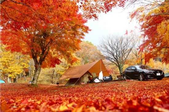 CHIKUSA Mountain Village photo 3