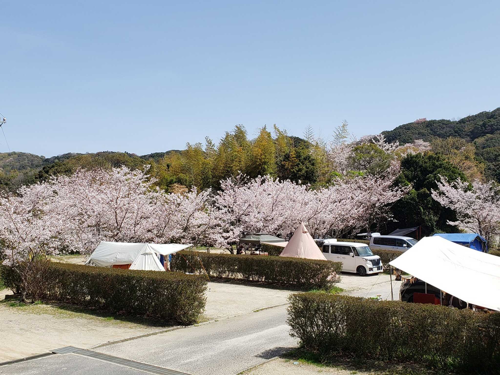 ウェルネスパーク五色オートキャンプ場の写真 3枚目
