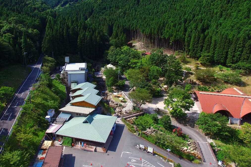 グリーンエコー笠形