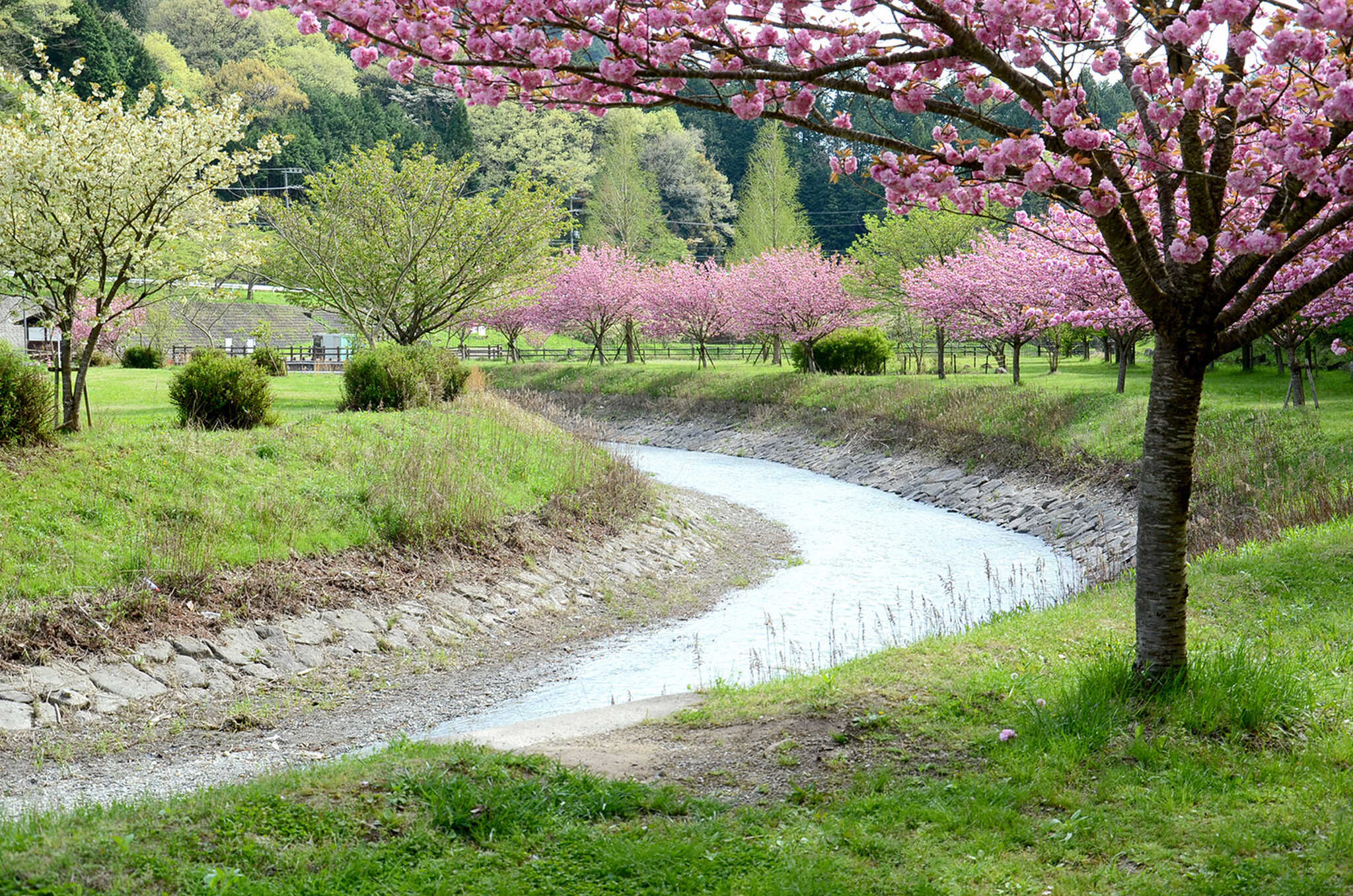 知明湖キャンプ場