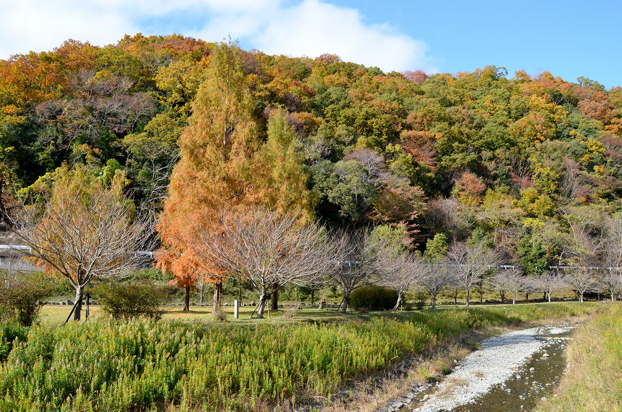 知明湖キャンプ場