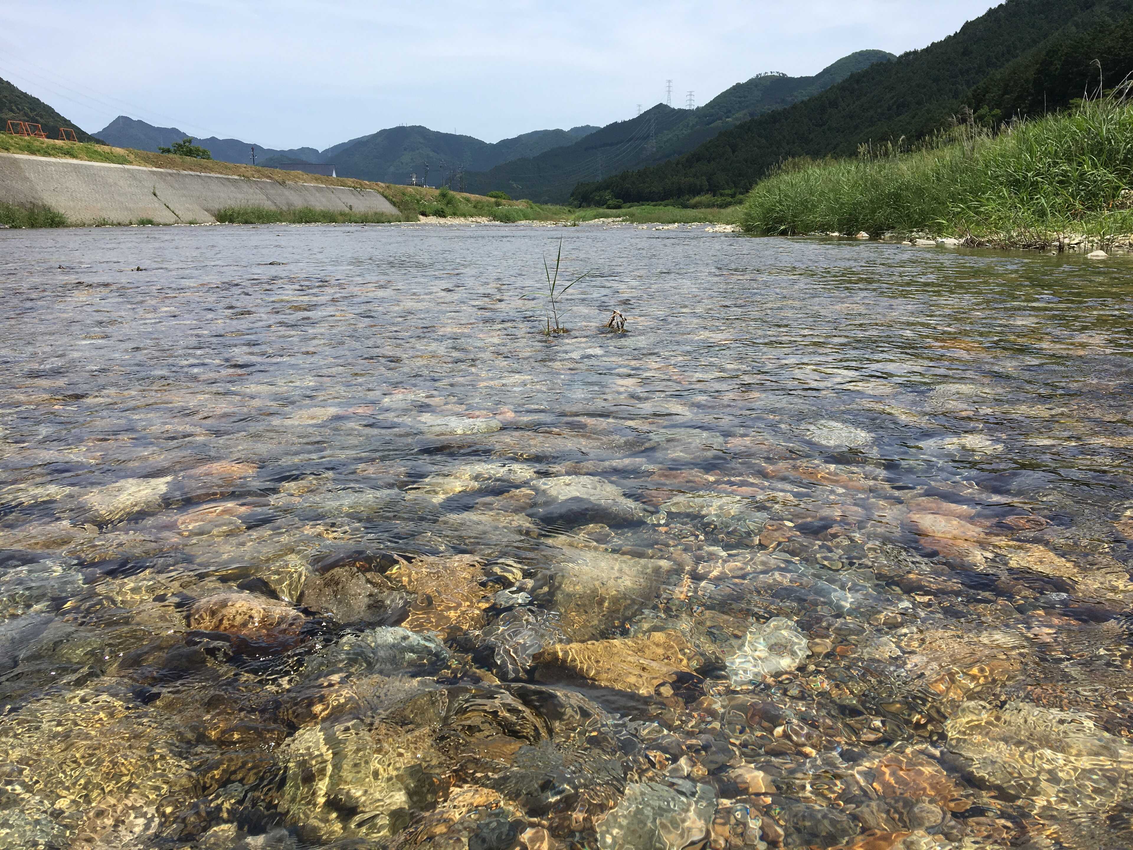 青雲の杜キャンプ場(多可青雲の家)