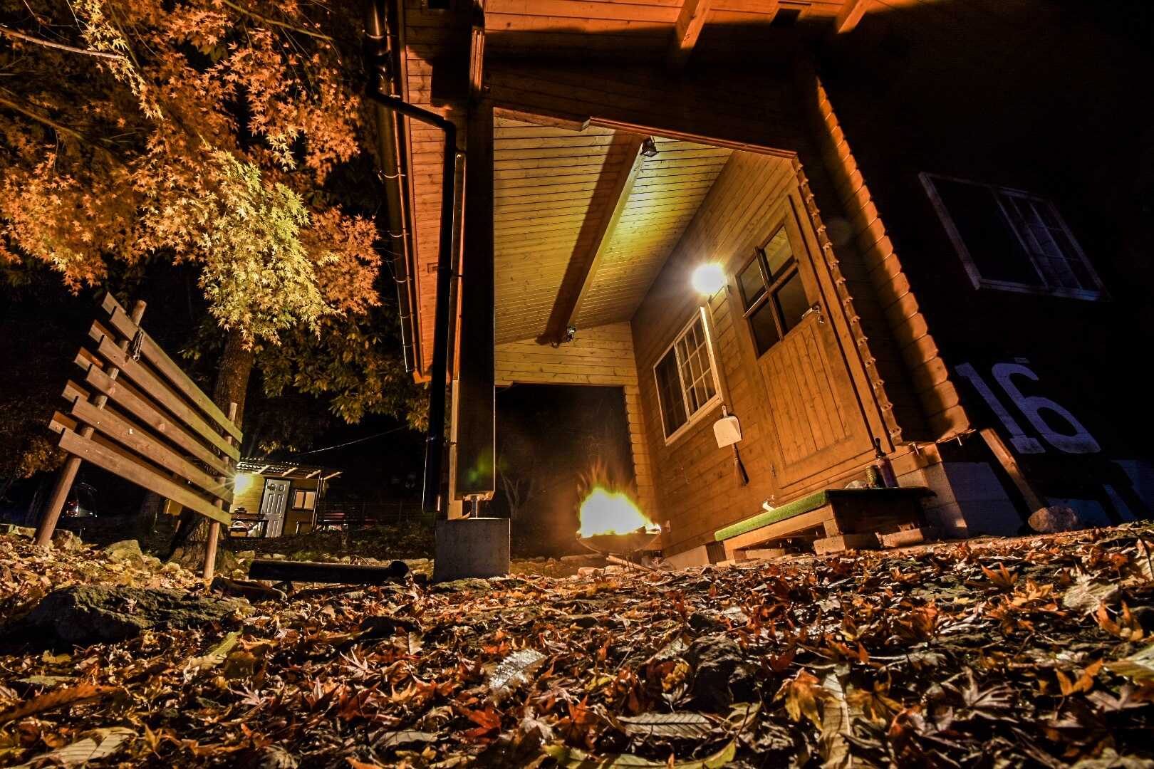 丹波悠遊の森の写真 2枚目