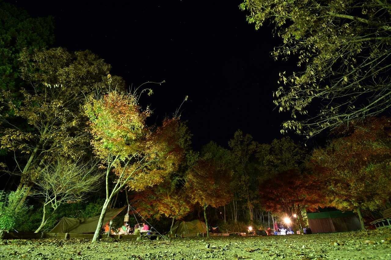 天気が良ければサイトからは星空が。