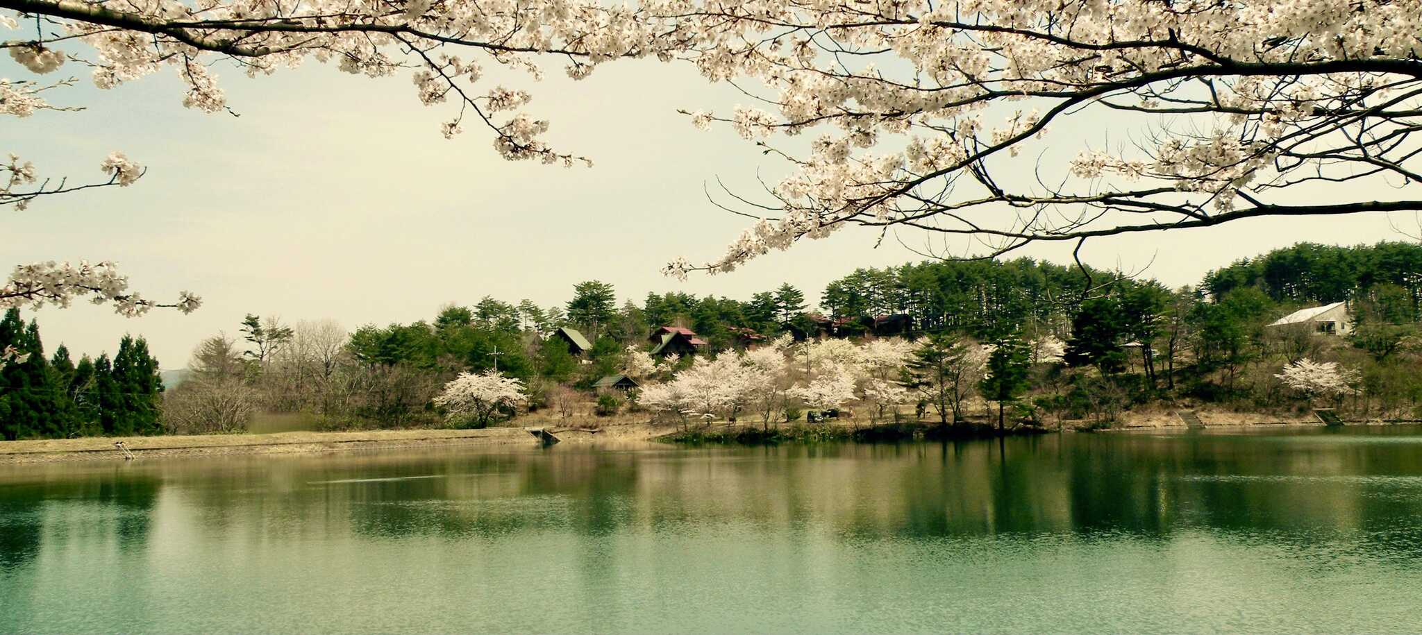 けび大池公園(旧:けび大池キャンプ&バンガロー村)