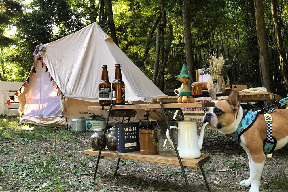CampVillage タロリン村 の写真 3枚目