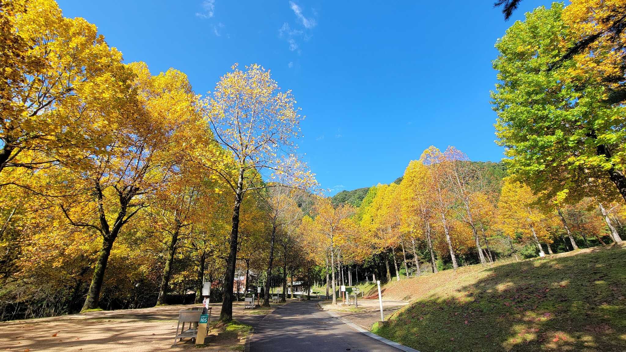湯の原温泉オートキャンプ場