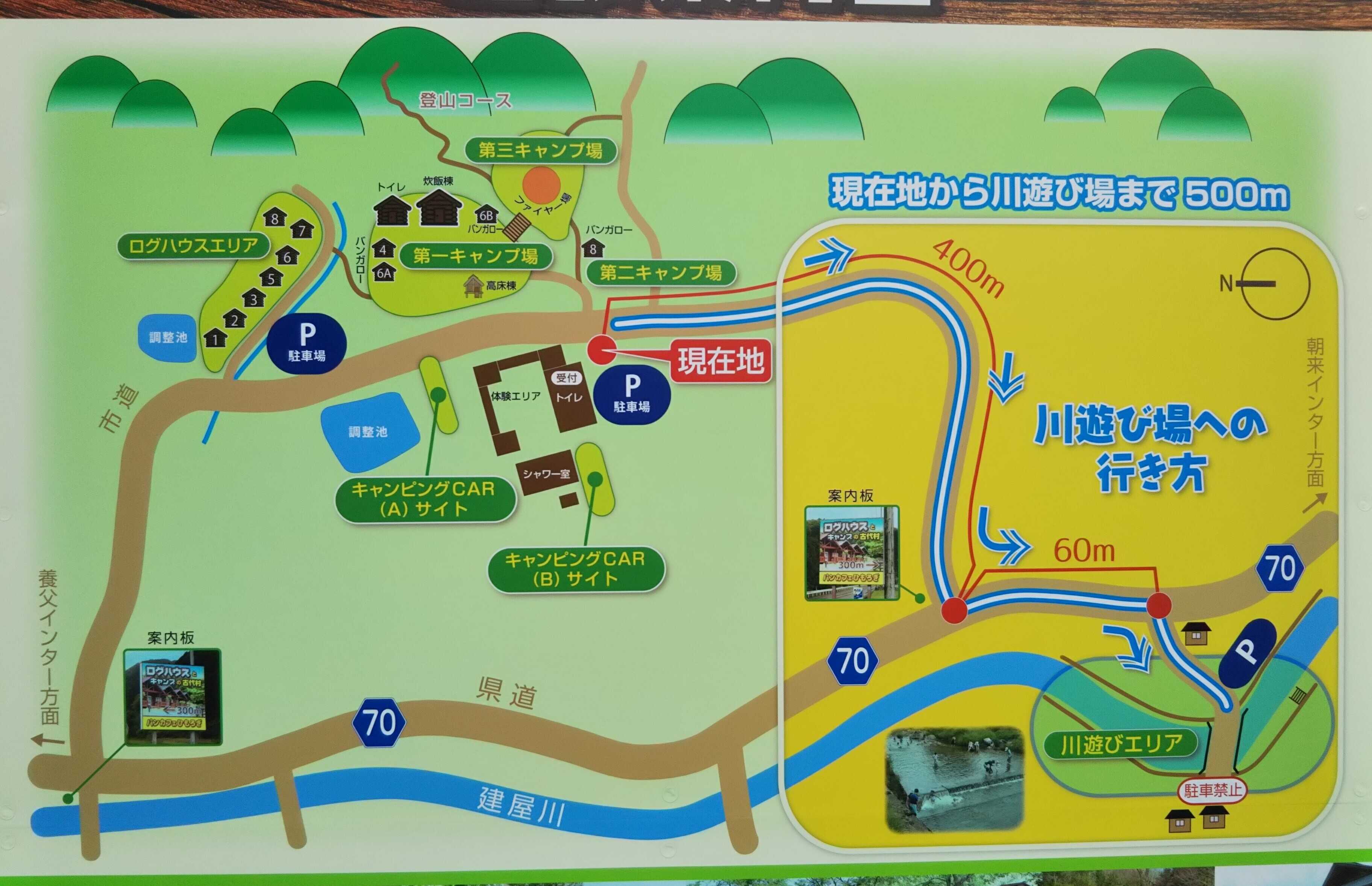 サイト配置図