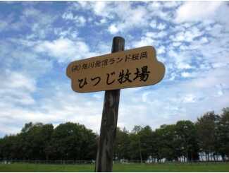 旭川モンゴル村キャンプ場の写真 2枚目