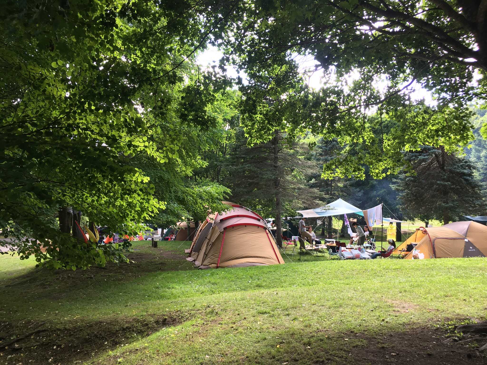 いわみざわ公園キャンプ場の写真 2枚目