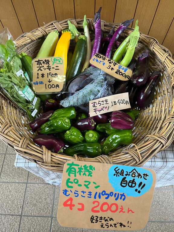 きのこの里あいべつオートキャンプ場 photo 3