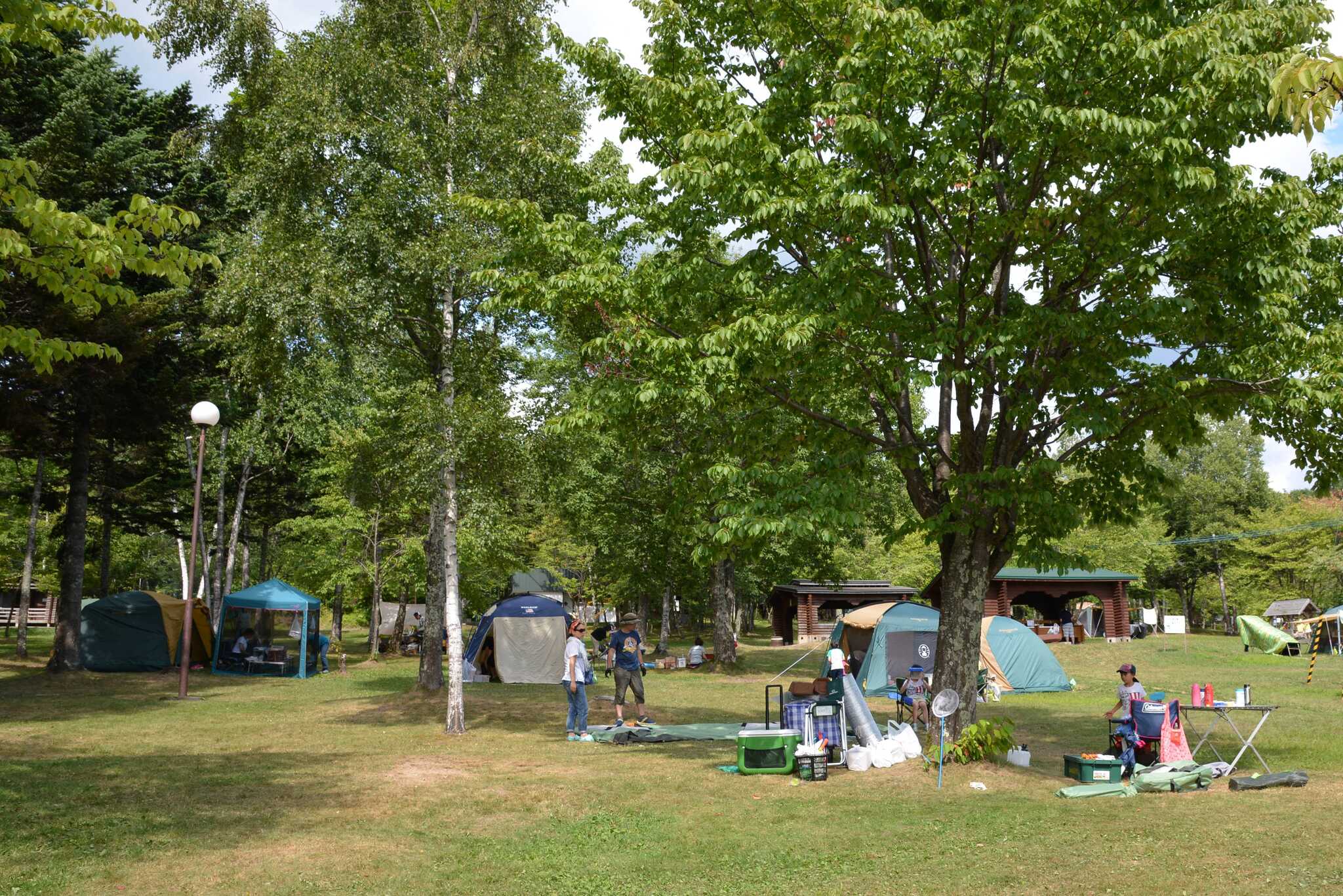 傾斜地が多いですが、木陰が多いので夏は過ごしやすくなっております!