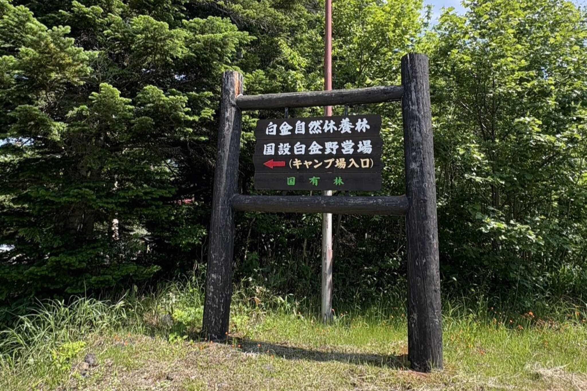国設白金野営場